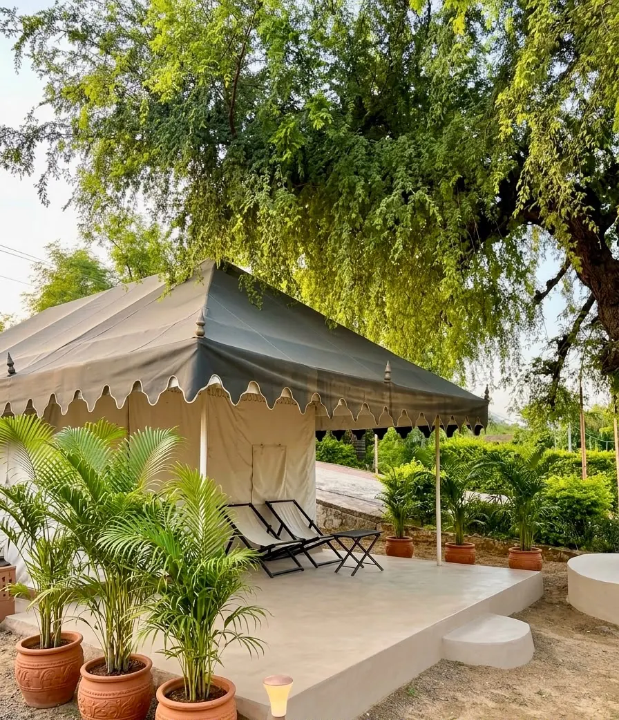 Swiss tent shaded by trees and surrounded by greenery at the camp